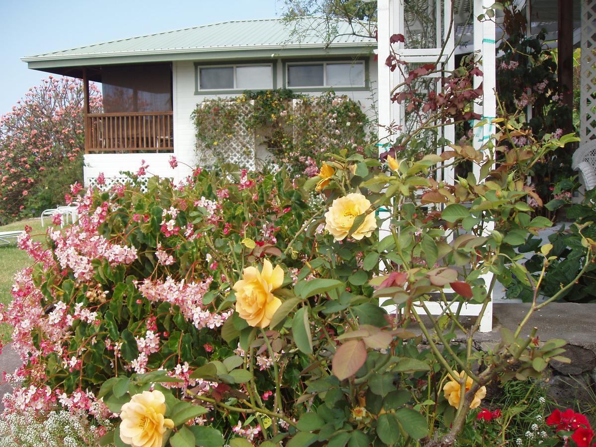 Bed and Breakfast Belle Vue Kona Inc Captain Cook Zewnętrze zdjęcie